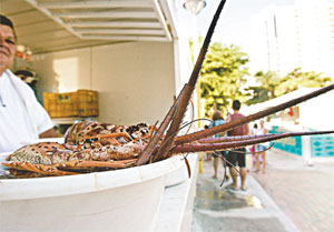 Mercado dos Peixes tem queda na movimentação