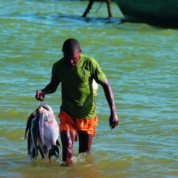 Brasil fecha o cerco contra a pesca ilegal