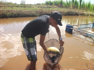 Projetos de piscicultura movimentam a economia da região de Bocaina (Foto: Gil Oliveira/ G1)