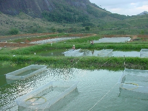 Parceria impulsiona o cadastro de aquicultores