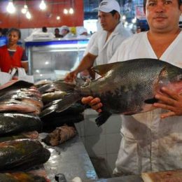 Pesquisadora desenvolve gelatina com resíduos de peixes amazônicos