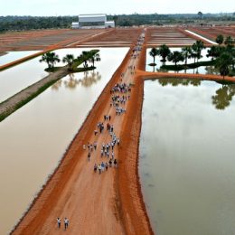 complexo piscicultura