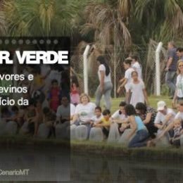 Plantio de árvores e soltura de alevinos marcam o início da primavera