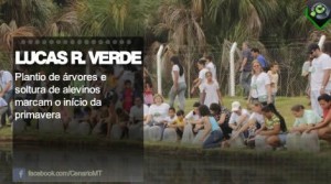 Plantio de árvores e soltura de alevinos marcam o início da primavera