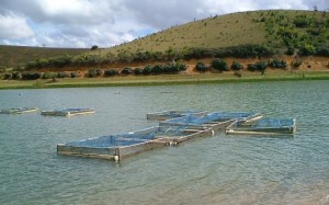 Três Lagoas recebe Caravana do Crédito para Pesca e Aquicultura