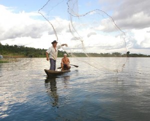 Balbina poderá dobrar a produção de peixes no AM