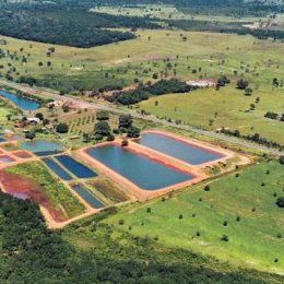 tanques de criacao-de peixes