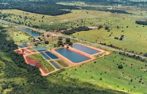 tanques de criacao-de peixes