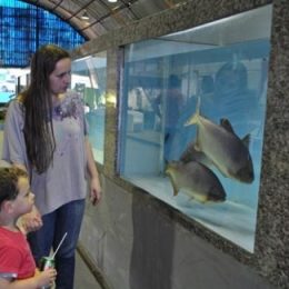 Produção relacionada à preservação é novidade do Pavilhão da Piscicultura
