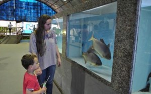 Produção relacionada à preservação é novidade do Pavilhão da Piscicultura
