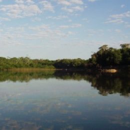 Berçário de peixes sob proteção