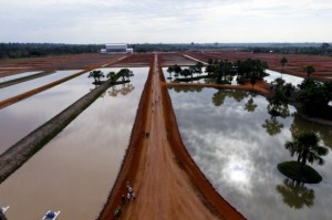 Toda a estrutura foi pensada para garantir a sustentabilidade (Foto: Gleilson Miranda/Secom)