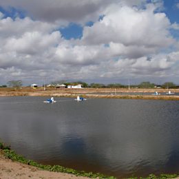 Bahia Pesca leva benefícios para a piscicultura da Região Oeste