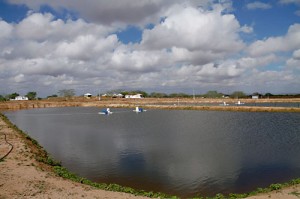 Bahia Pesca leva benefícios para a piscicultura da Região Oeste