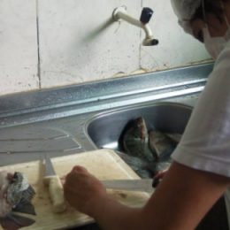 Procura por cursos de piscicultura vem crescendo na região de Cataguases