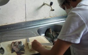 Procura por cursos de piscicultura vem crescendo na região de Cataguases