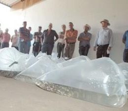 Piscicultura é fomentada com entrega de alevinos