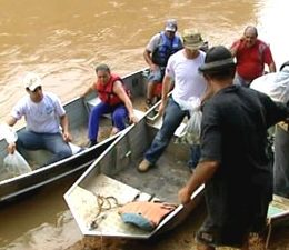 Dez mil peixes são soltos no Rio São Francisco em Iguatama, MG
