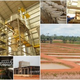 Complexo de piscicultura tem 70% da obra concluída