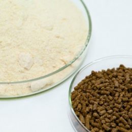 Pescado bem alimentado