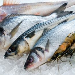 Peixes exigem cuidados na hora da compra; veja dicas para acertar na escolha