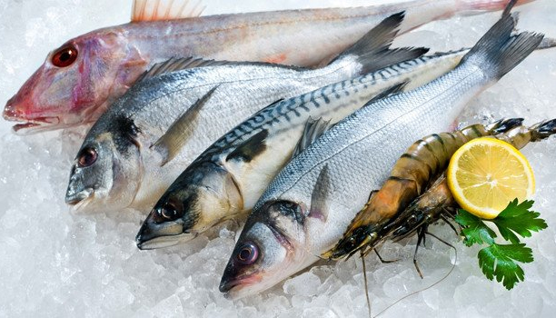 Peixes exigem cuidados na hora da compra; veja dicas para acertar na escolha