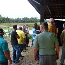 Guaratuba promove piscicultura para diversificar produção rural