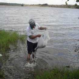 Empasa realiza curso de introdução a piscicultura para produtores rurais de Ingá