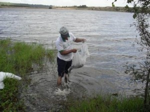 Empasa realiza curso de introdução a piscicultura para produtores rurais de Ingá