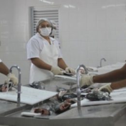 BNDES concede R$ 34,3 milhões para fomento da aquicultura