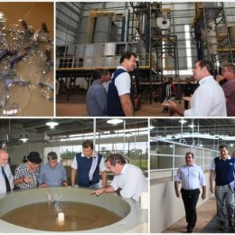 Complexo da piscicultura impressiona empresário