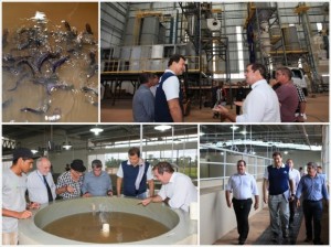 Complexo da piscicultura impressiona empresário