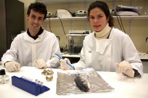 Teste pioneiro da Universidade de Aveiro prova origem do peixe de aquacultura