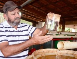 Criação de peixe em tanque escavado fortalece a agricultura familiar