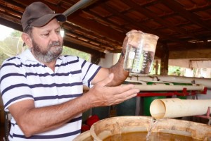 Criação de peixe em tanque escavado fortalece a agricultura familiar