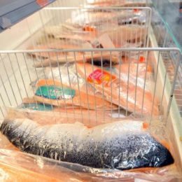 Levantamento do Procon mostra que preço dos peixes pode variar até 141% em Joinville