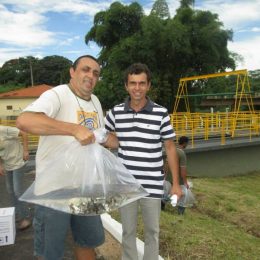 soltura de piracanjuba rio canoas
