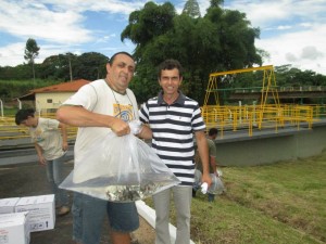 soltura de piracanjuba rio canoas