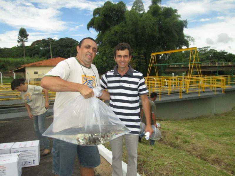 soltura de piracanjuba rio canoas