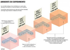 Mudança do clima altera o crescimento dos peixes