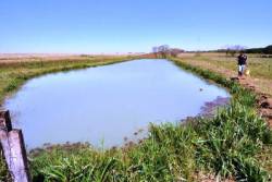 Dourados irá implantar APL da Piscicultura