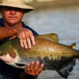 Ministério projeta 3 milhões de toneladas de pescado em 2014