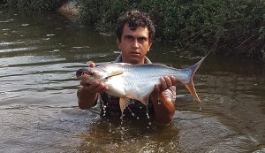 Martinho Colpani e o Pangasius