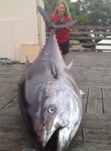 Pescadora fisga atum de 411kg na Nova Zelândia; peixe vale R$ 5 milhões 