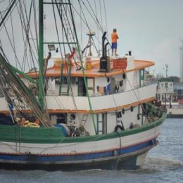 Nova mudança na rotulagem da mistura de peixes amplia impasse na pesca no Litoral Norte de SC