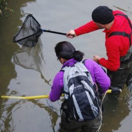 Povoamento de barragens em Sintra protege espécies de peixes em perigo
