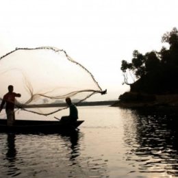 Estiagem prejudica a criação de peixes em Goiás