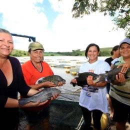 Piscicultura é alternativa para mulheres no Litoral Sul de Alagoas