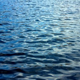 Codevasf apresenta pesquisa sobre qualidade da água em parques aquícolas