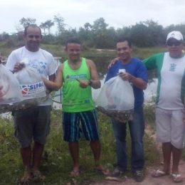 Três comunidades da Ilha de Mosqueiro recebem alevinos da Sepaq